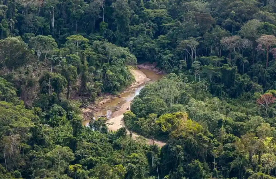 Publican decreto supremo para creación de Reserva Indígena Sierra del Divisor Occidental
