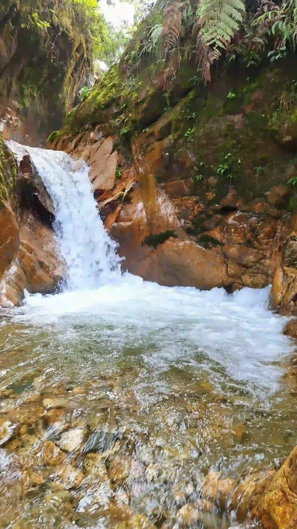 Reserva de Biosfera Avireri-Vraem: Un tesoro natural para la conservación y el desarrollo sostenible
