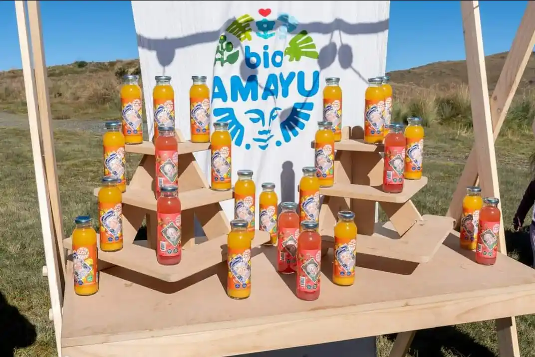 Fomentan uso sostenible del aguaymanto y conservación del Parque Nacional del Manu