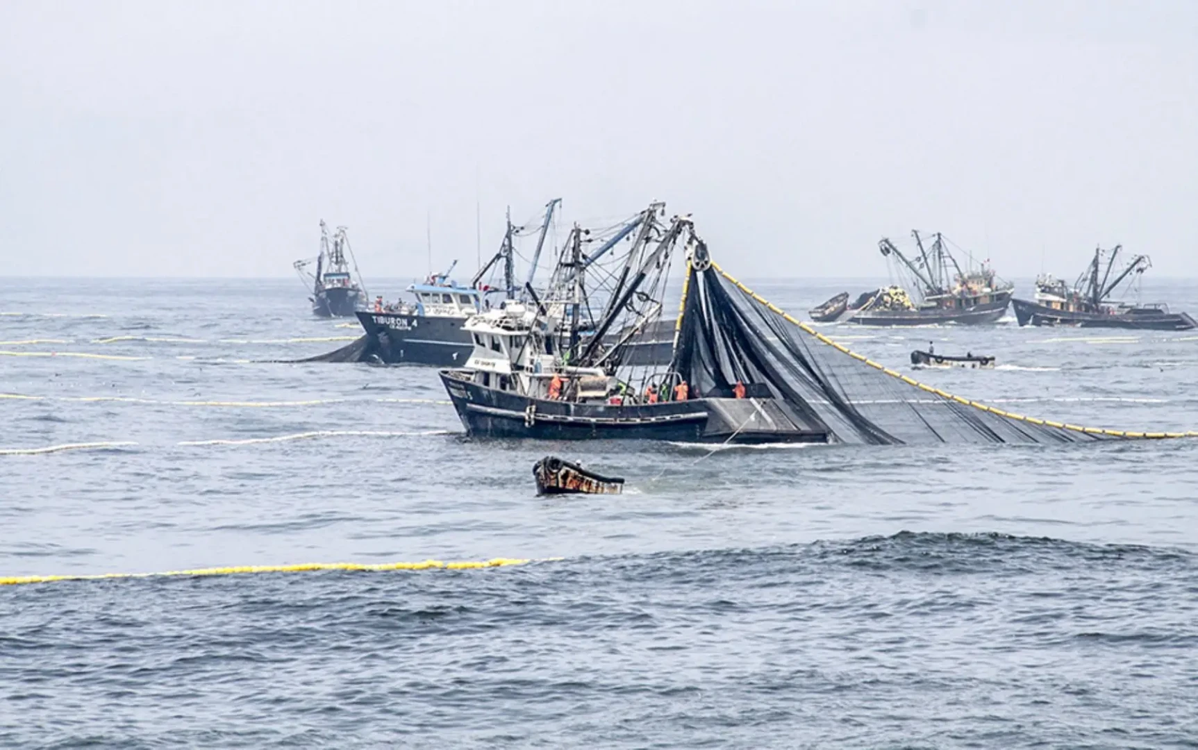 Perú contra la pesca ilegal: Desafíos y avances hacia la sostenibilidad marina