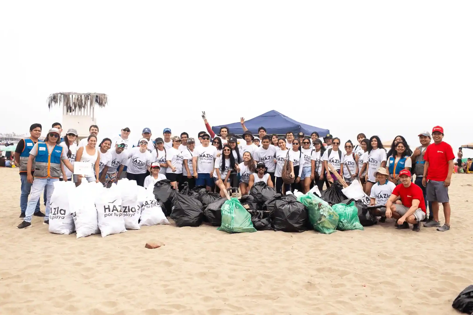 ¿Cómo conservar los océanos? Cuatro acciones clave