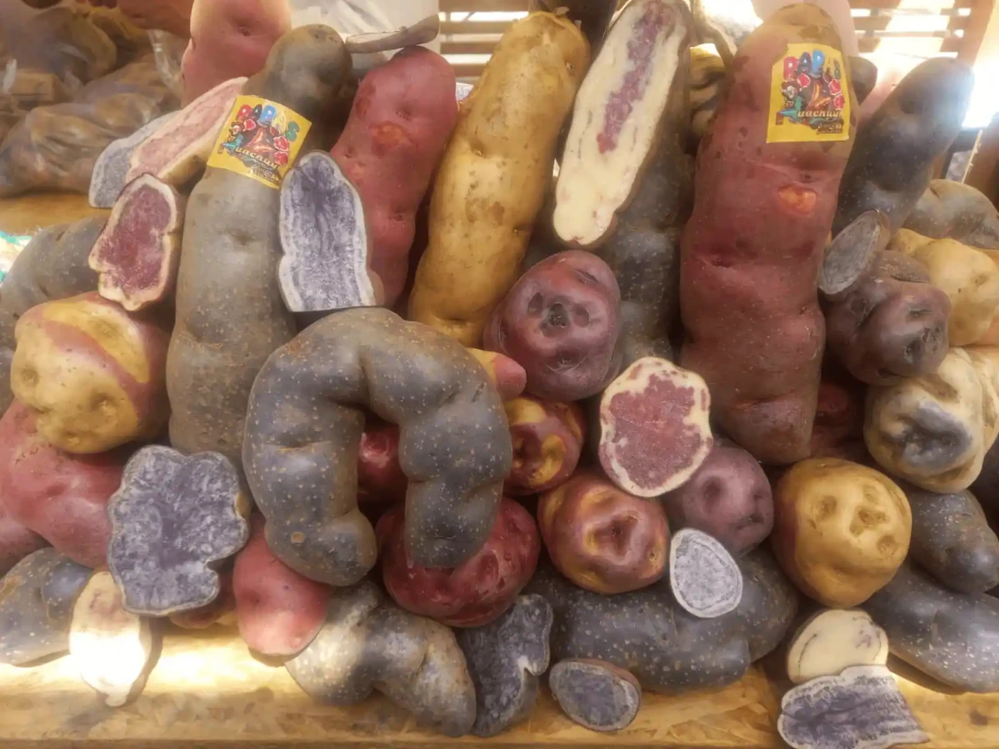 Huánuco: Instan a seguir apostando por la cadena productiva de la papa nativa