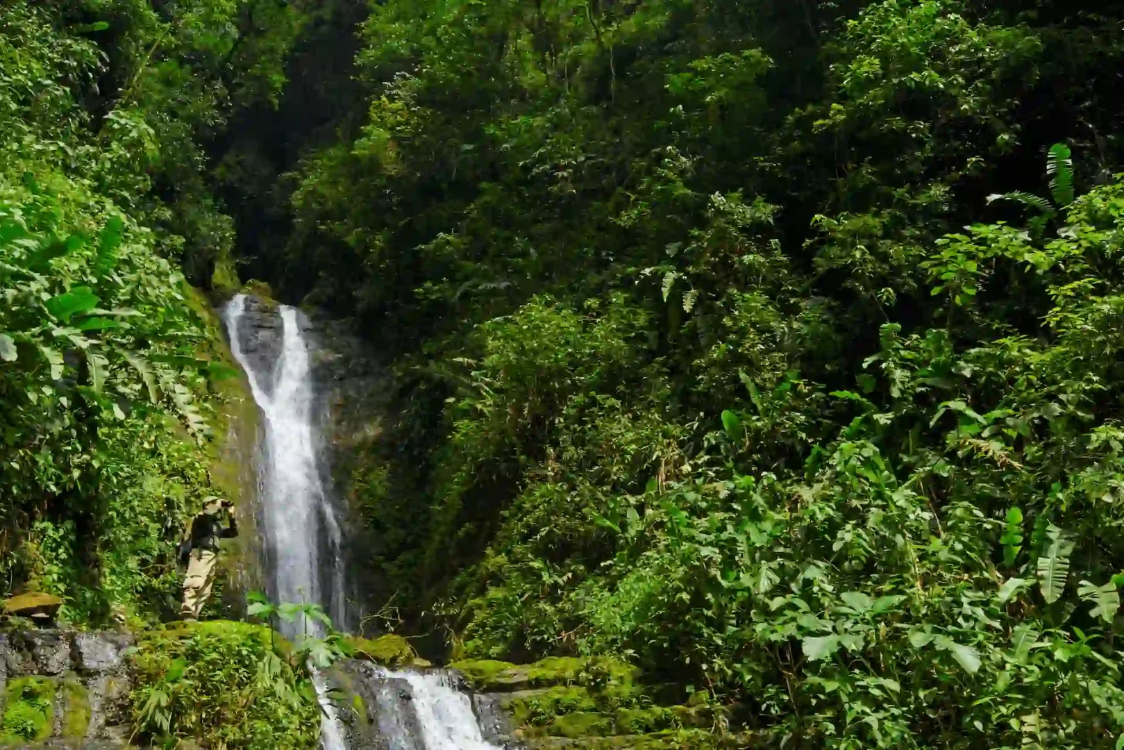 César Navarro, aprender de todo para que la gente pueda vivir en armonía con la naturaleza