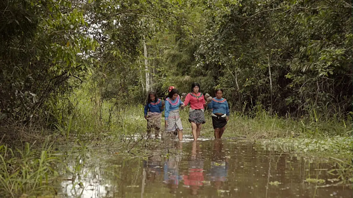 El viaje al origen del kené: Un homenaje cinematográfico a la cultura shipibo-konibo