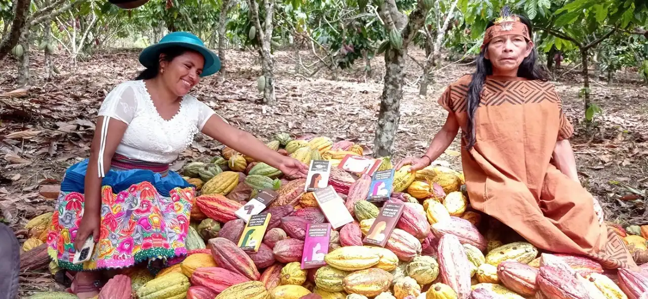 Warmi Tsinane: El cacao que empodera a mujeres de la selva central