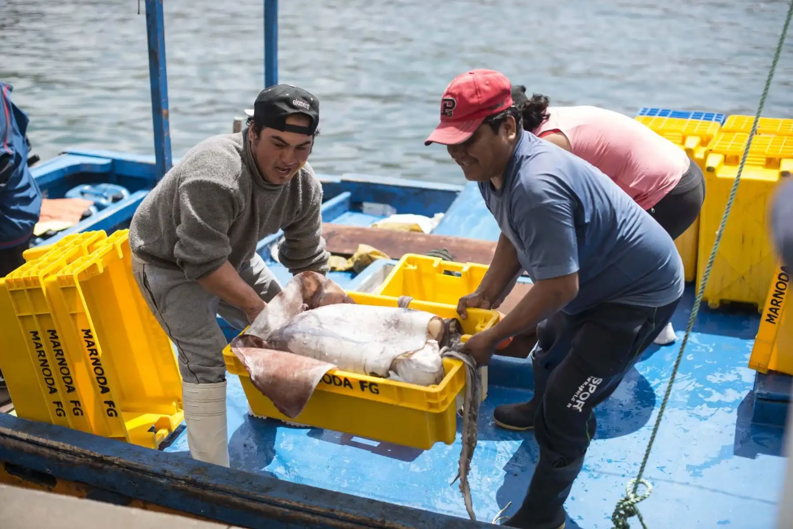 Presentan propuesta para actualizar la gobernanza de la pota
