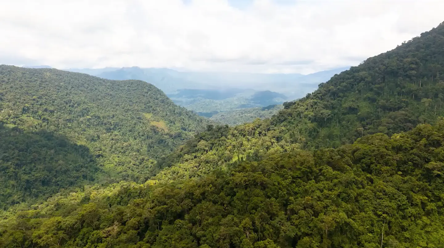 Impulsan la creación de la Reserva Comunal Ajutap en Amazonas