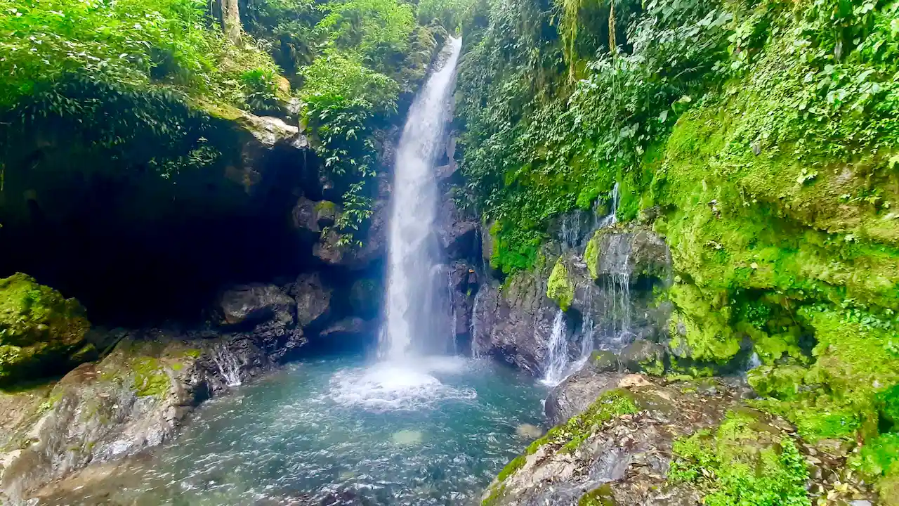 Aventura natural: Descubre las cataratas Gloriapata y Sol Naciente en Tingo María