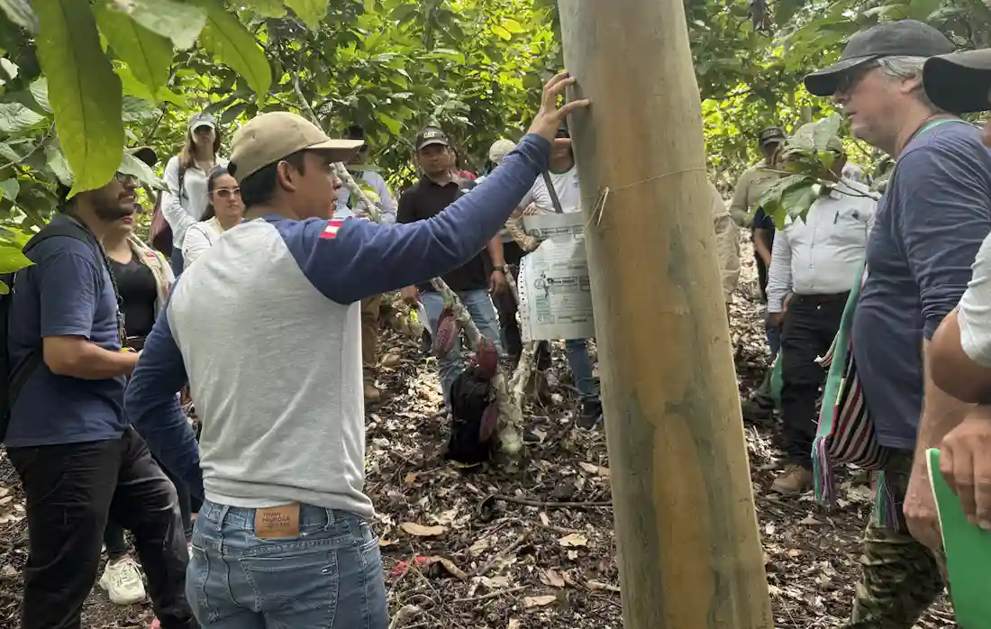 San Martín: Autoridades culminan curso en gestión de proyectos REDD+