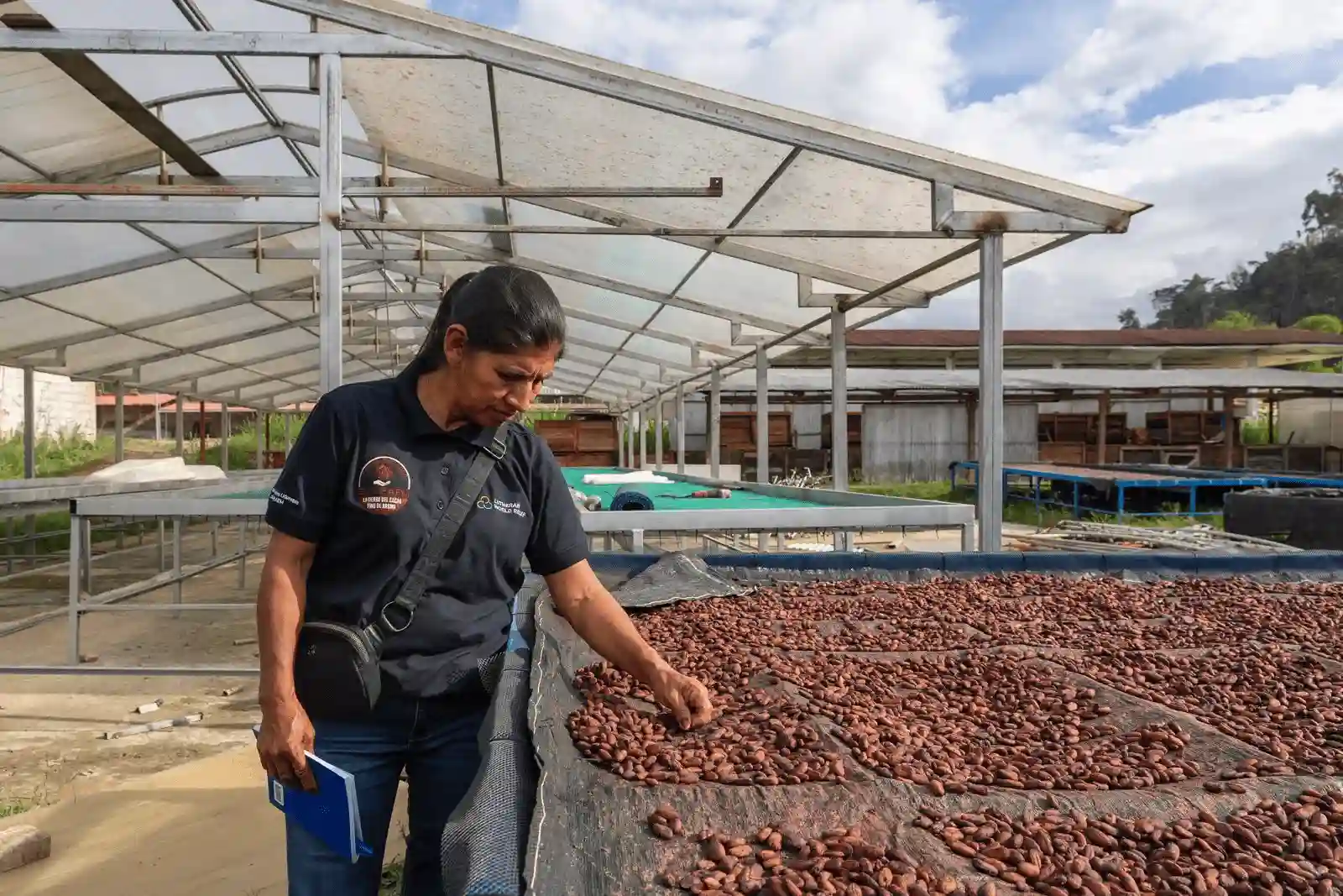 “Concursos nacionales aportan a la evolución en la calidad del cacao peruano”