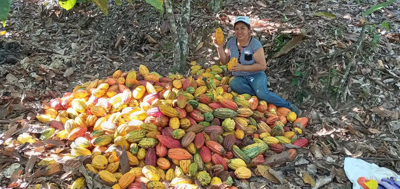Teresa Arauco Alvarado: La dulce historia detrás del mejor cacao de Junín