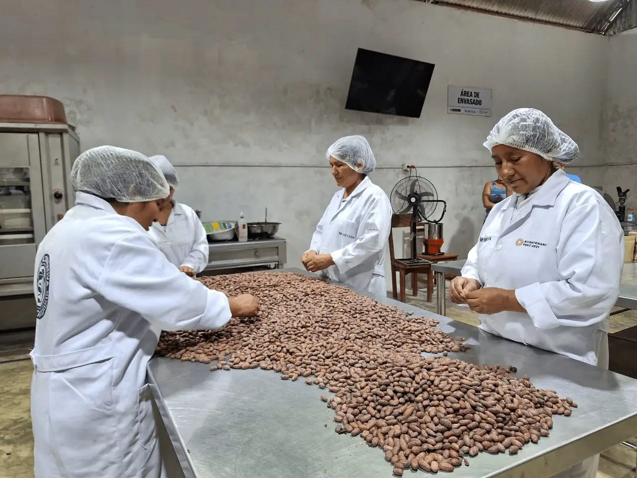 Ucayali: 17 chocolateros participarán en el Salón del Cacao y Chocolate