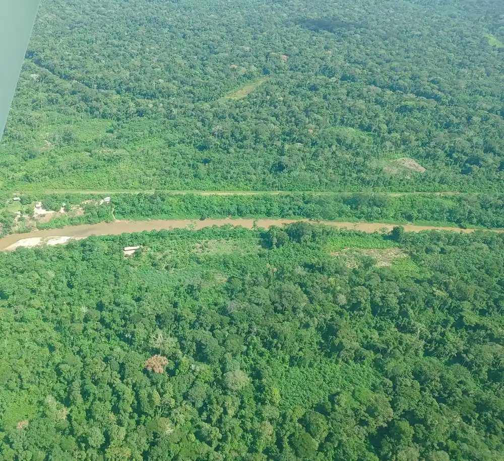 Detectan cultivos de coca y cuatro pistas de aterrizaje clandestinas en Atalaya