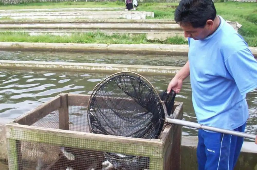 Huamalíes: Alcalde de Tantamayo saluda financiamiento para ejecutar obras