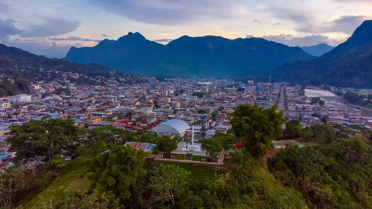 Devida reporta más de 92 000 hectáreas de cultivo de coca en el país