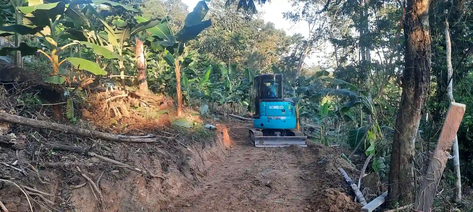 Trocha ilegal amenaza biodiversidad en Área de Conservación Cordillera Escalera