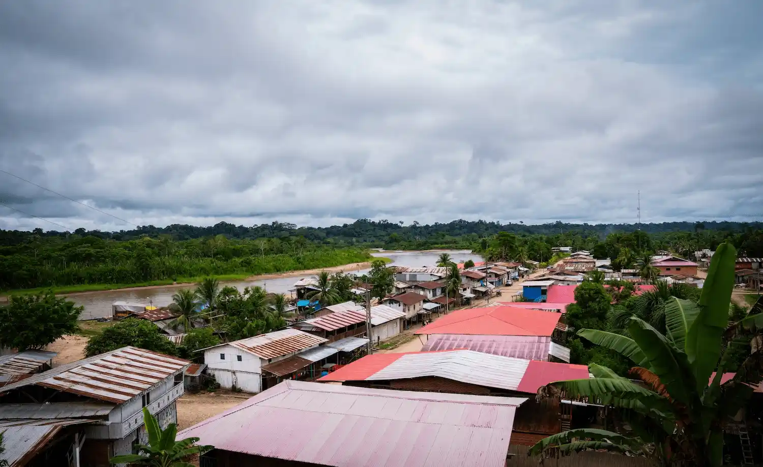 Mujeres indígenas restauran especies forestales nativas para conservar el Parque Nacional Cordillera Azul
