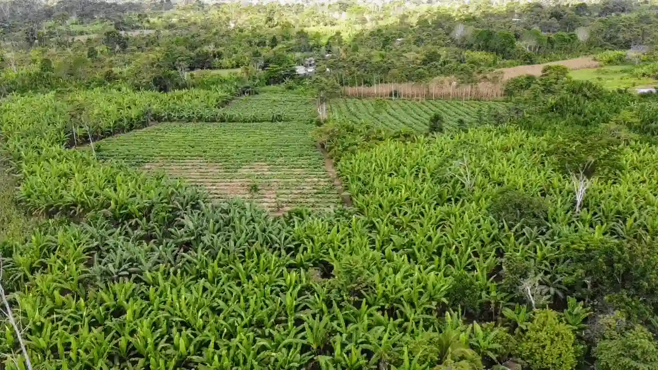 Huánuco: Cuenca del río Pendencia es un potencial para el turismo sostenible