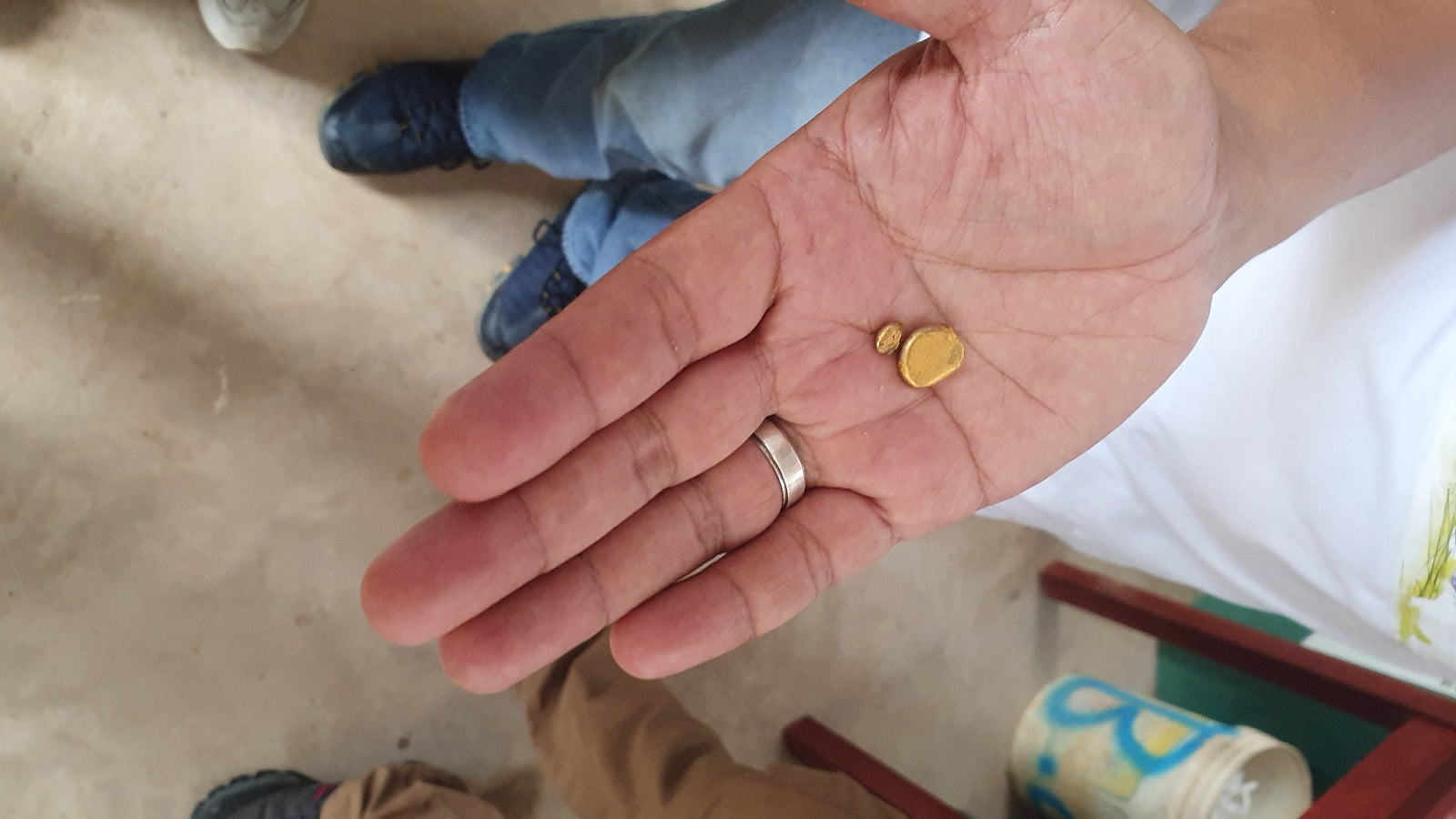 Método aprovecha zonas deforestadas por minería artesanal para fomentar reforestación