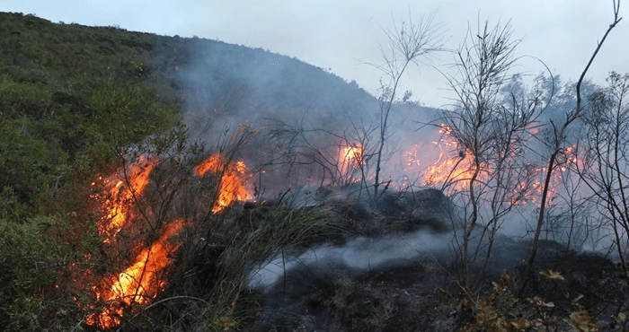 Regiones andinas y amazónicas en riesgo ante incendios forestales en 2024