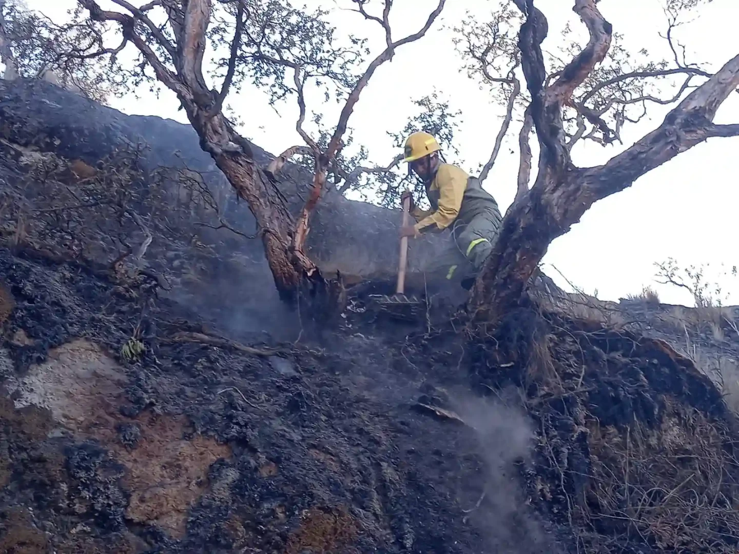 Peru-en-llamas--El-creciente-desafio-de-los-incendios-forestales.webp