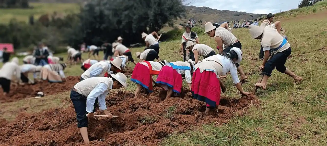 Carmen Marca: Ingeniera fomenta la producción de alimentos agroecológicos en cooperativas altoandinas