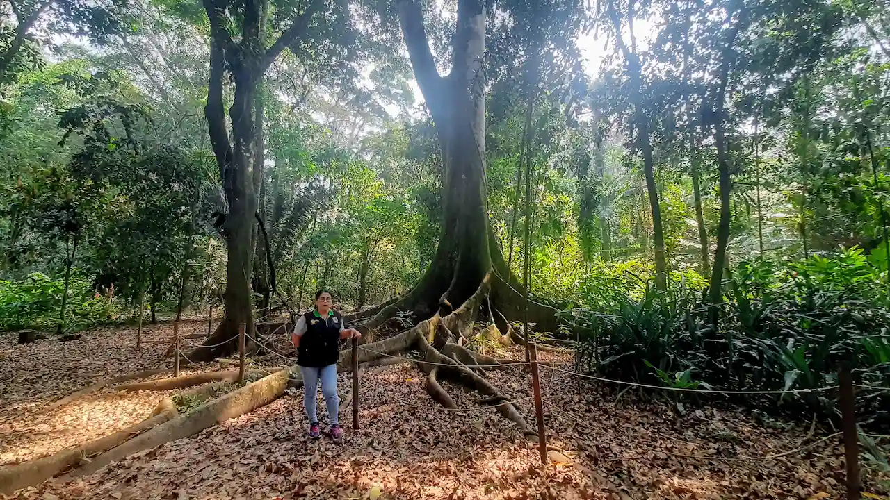 Jardín Botánico de la UNAS: 18 años en el corazón de Tingo María
