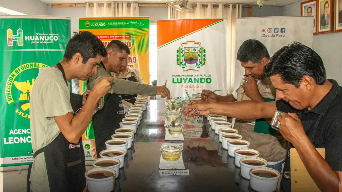 III-DEL-CULTIVO-ILICITO-AL-CAFE-DE-ALTA-CALIDAD--La-transformacion-del-Alto-Huallaga-en-Huanuco.webp