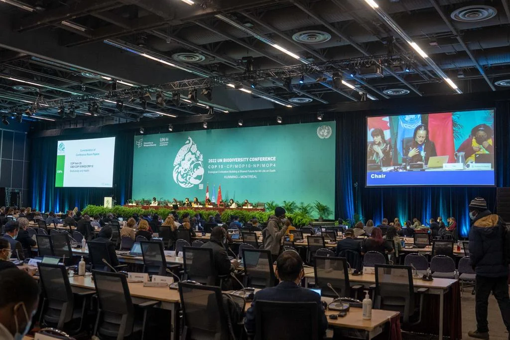 III-COP16--Peru-buscara-financiamiento-internacional-para-proyectos-sostenibles-XI.webp