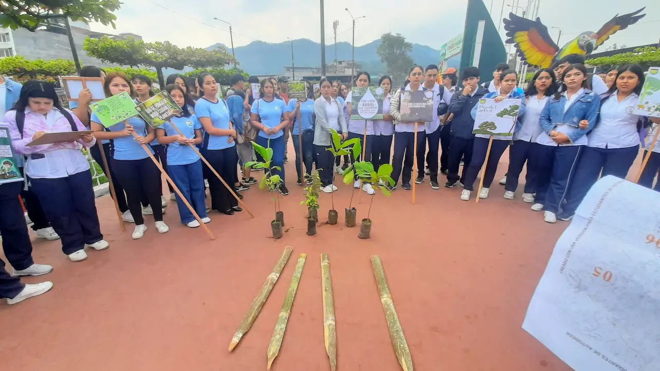 Arborización en Tingo María: Un paso hacia la recuperación de espacios verdes