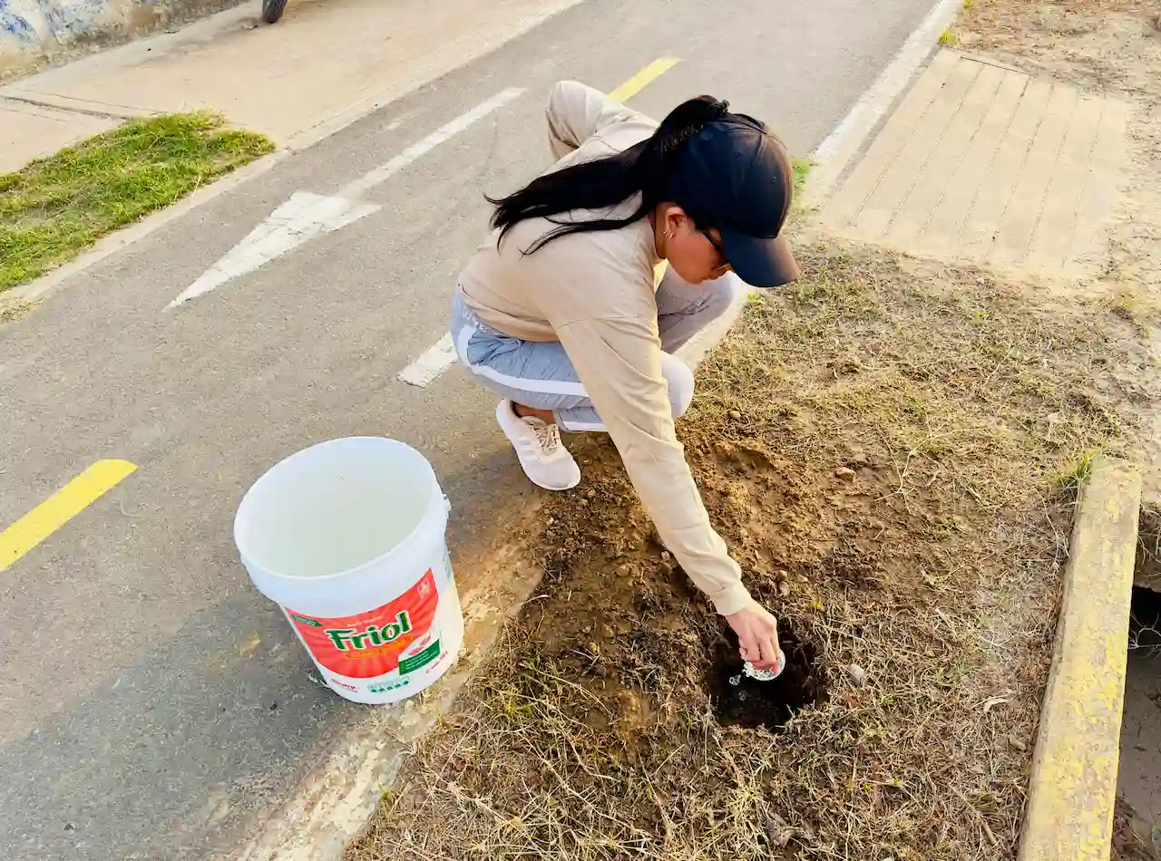 San Martín: Siembran 410 plantones en la ciclovía Virgen Dolorosa