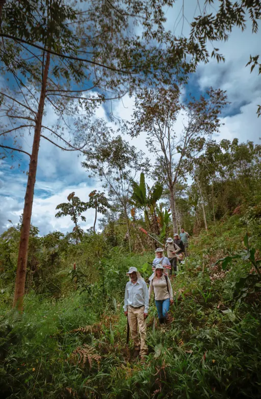 Líder amazónico conserva recursos agroforestales en San Martín 