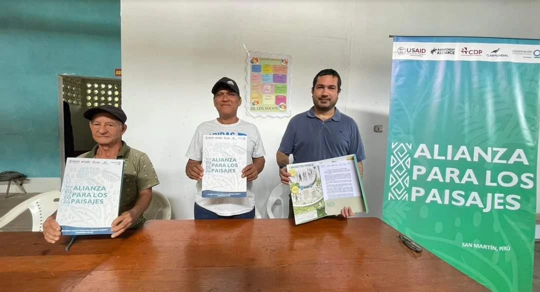 San Martín: Mejoran producción sostenible de cacao