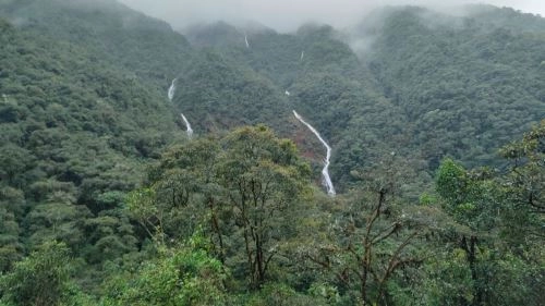 Más de US$ 15 millones para conservación de bosques de Junín, Loreto y Ucayali