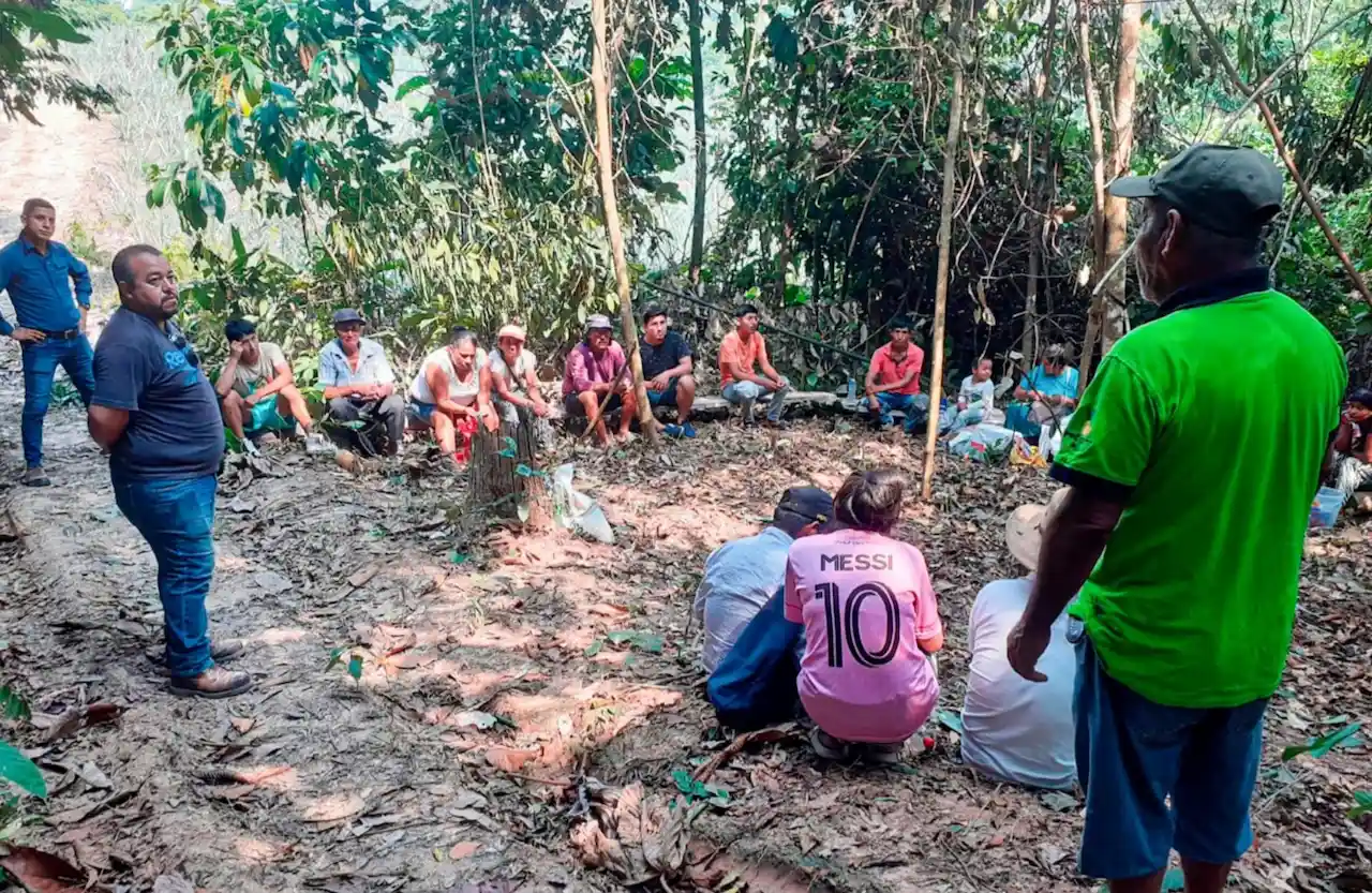 Taller de abonamiento impulsa la producción sostenible de piña en Padre Abad