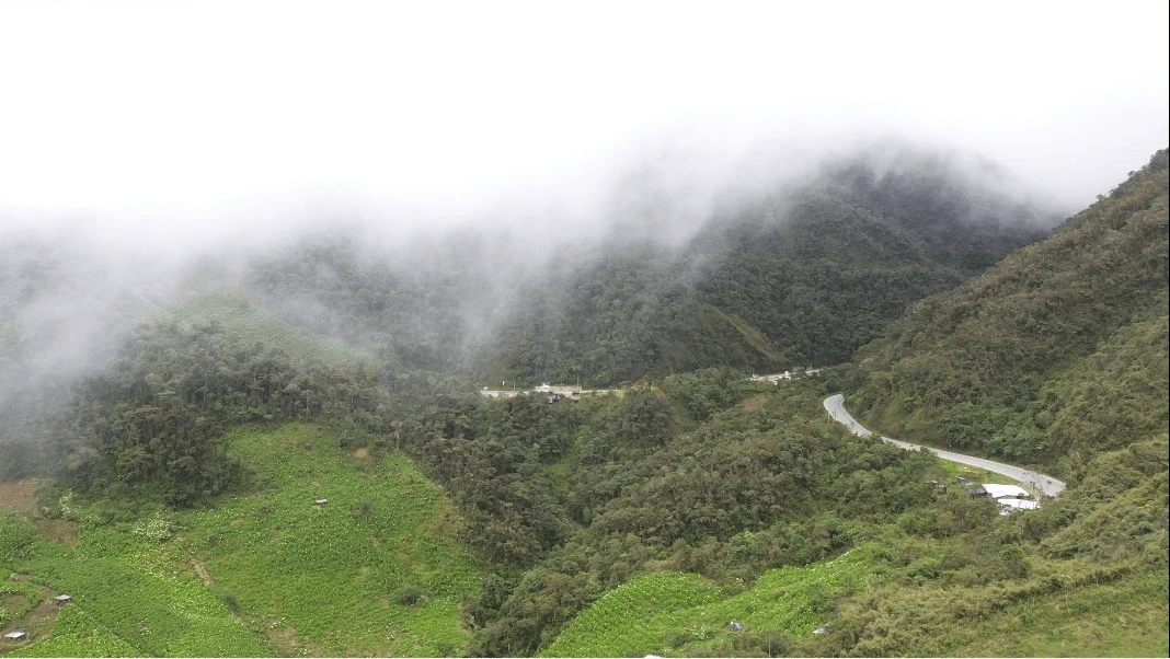 Bosques nublados de Huánuco son hábitat del mono choro de cola amarilla
