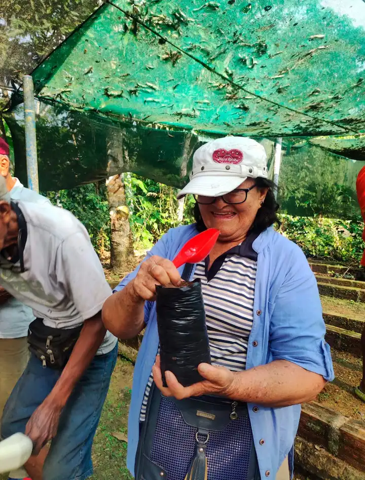 Taller de biohuertos orgánicos en Aguaytía atrae a más de 30 adultos mayores