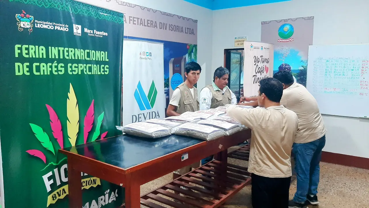 Café de Huánuco avanza en la Taza de Excelencia 2024 con 28 muestras seleccionadas