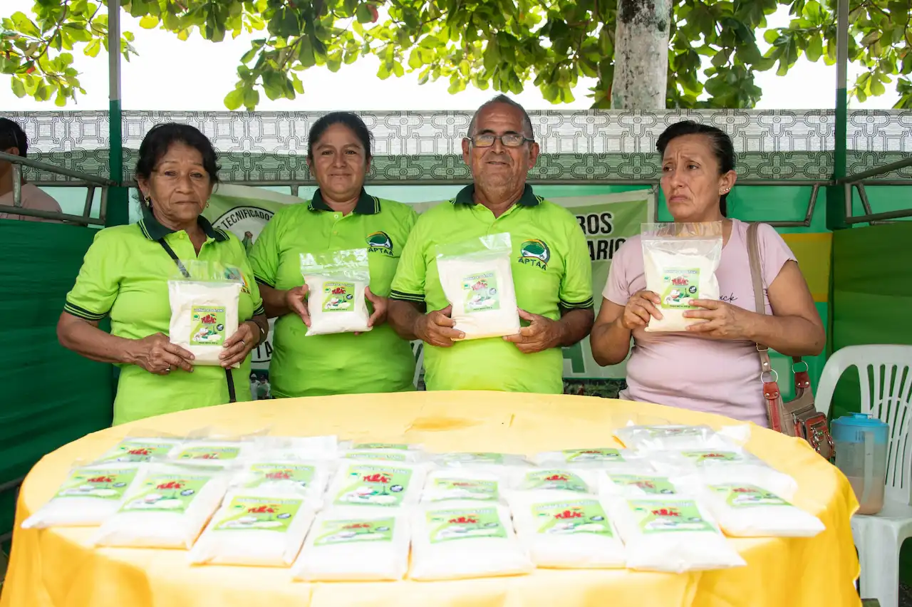 Festival del Plátano: Vitrina de oportunidades para productores de Aguaytía