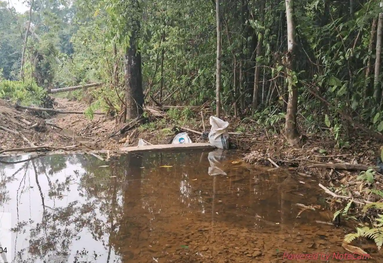 Dirección de Energía y Minas intensifica supervisión contra la minería ilegal en Leoncio Prado