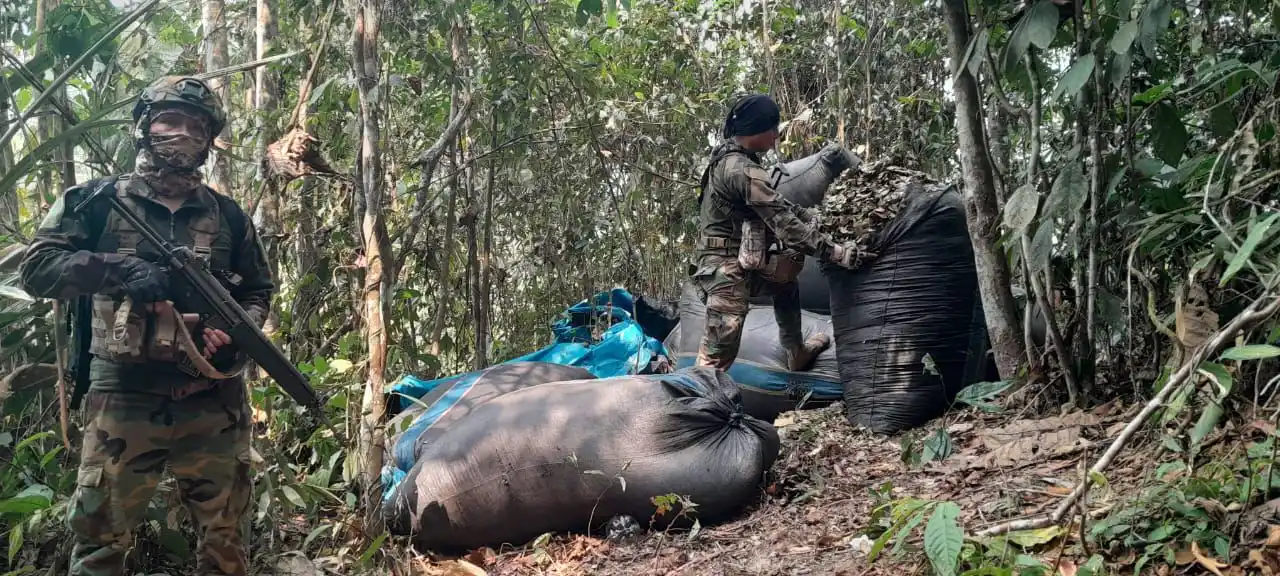 San Martín: Operativo antidrogas evita producción de 60 kilos de pasta básica de cocaína