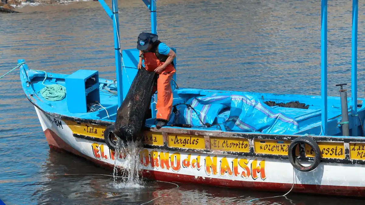 Pescadores artesanales unen esfuerzos para limpiar el fondo marino de San Juan de Marcona