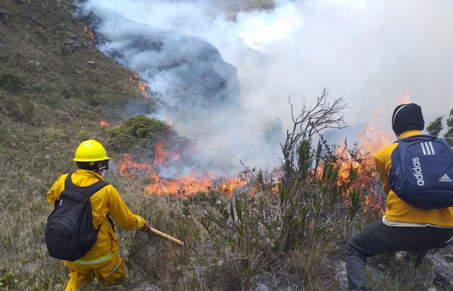 I-Peru-plantea-ley-para-gestion-y-prevencion-de-incendios-forestales.webp