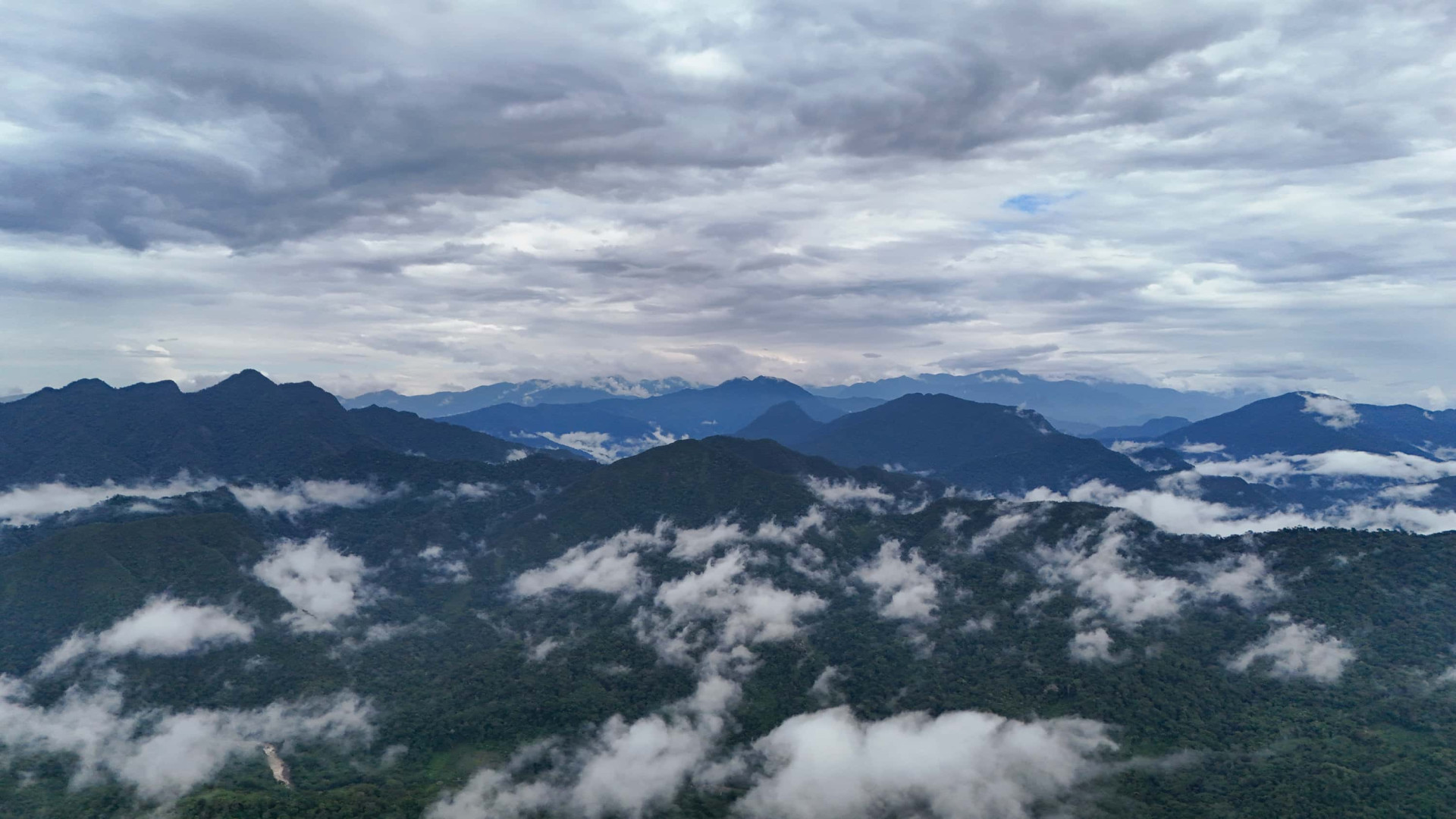 ANAP cuenta con 147 comunidades asháninkas en el territorio.
