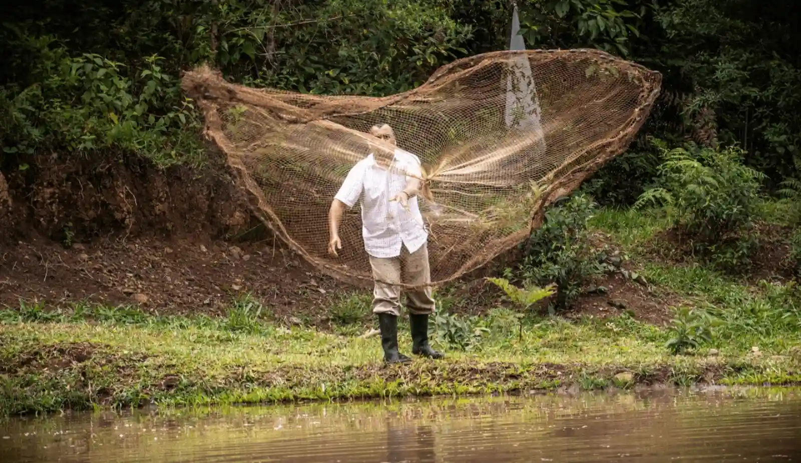 Huánuco apuesta por la acuicultura con innovador proyecto de peces tropicales