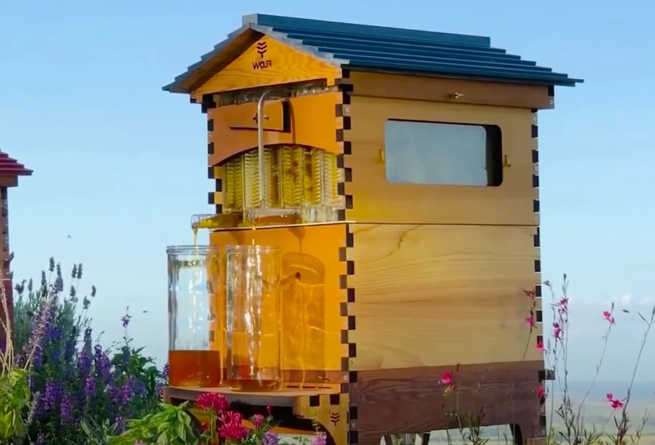 Implementan un sistema de extracción de miel sin abrir los panales de abejas