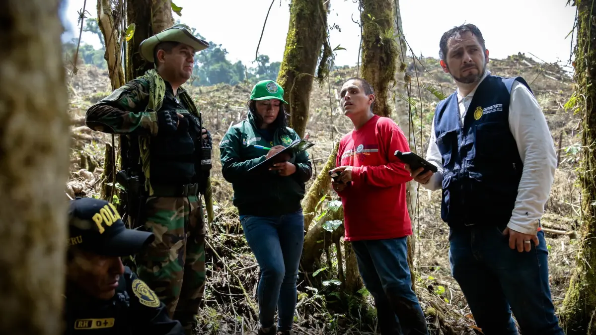 Ley Antiforestal sería el detonante del aumento de incendios y tala ilegal en la Amazonía