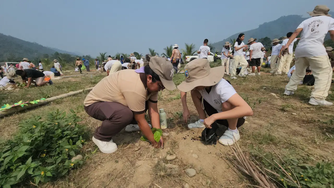Estudiantes de Satipo plantan 250 árboles en campaña de reforestación