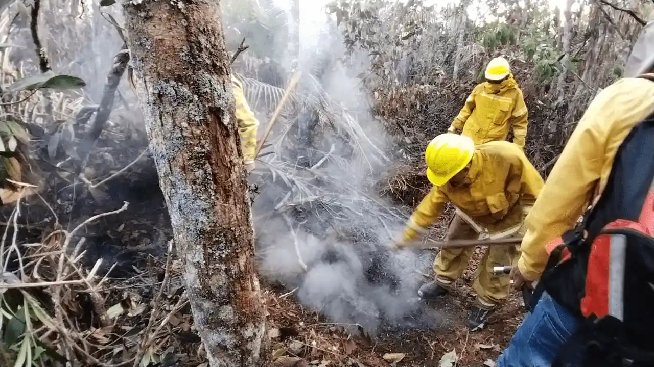 Guardaparques refuerzan el control de incendios forestales en comunidades nativas del Alto Mayo