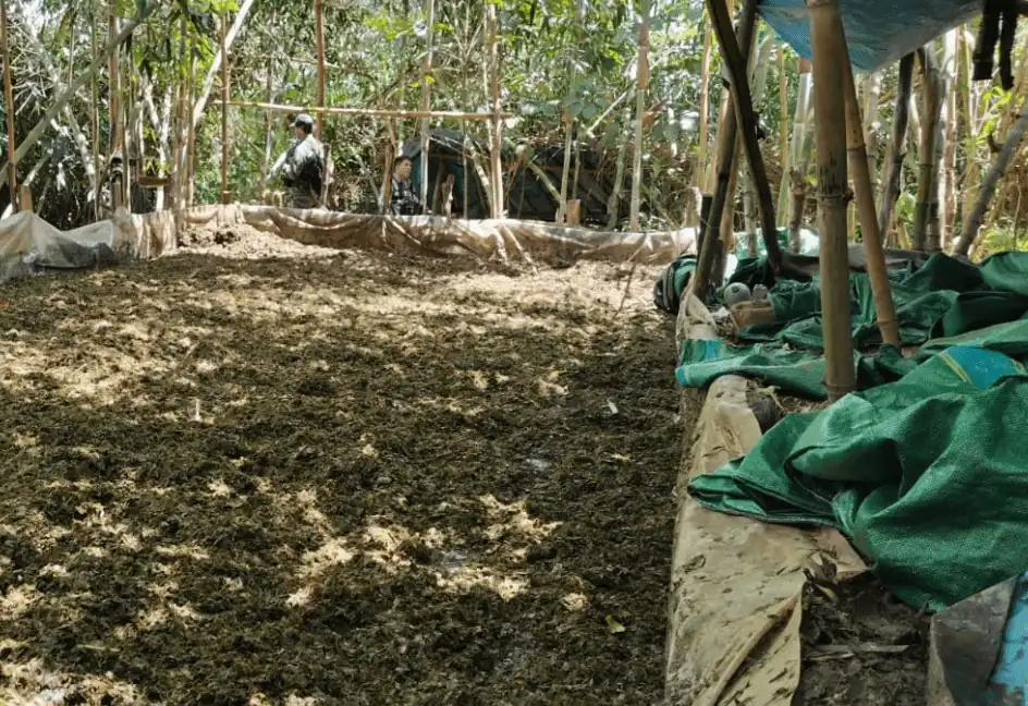 Explotación de comunidades nativas en Loreto genera millonarios ingresos para redes criminales